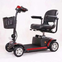 元亨电动珠海公园双人残疾人代步车四轮