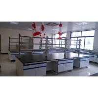 研究院实验室边台操作台全钢水槽台厂家直销试剂架可定制化实验桌子