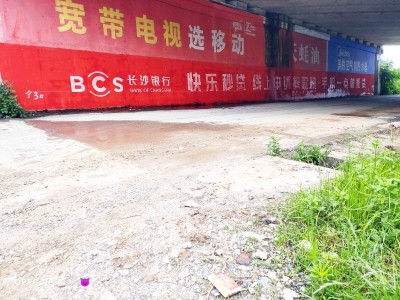 抚州农村刷墙广告泵业墙壁广告吴越同舟