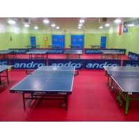 天津体育中心乒乓球馆运动地板  凤城橡塑