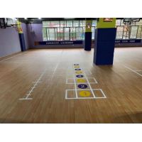 新作 | 湖北少儿篮球场+体能训练场PVC运动地板
