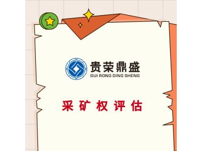 成都市大邑县无形资产怎么评估价值无形资产评估机构