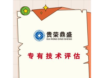 肇庆市企业技术出资评估知识产权评估专利出资评估