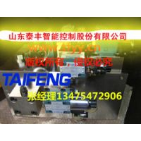 厂家现货供应泰丰YN32-1250ECV均为Dg32，双泵
