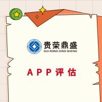 揭阳市网站评估APP评估营销网络评估