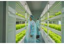 阳泉市植物工厂无菌室种植蔬菜厂家设计建造